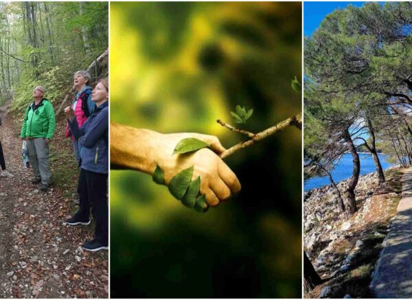 šuma šetnja lošinj naslovna