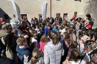 IMG_2775 IMG_2775