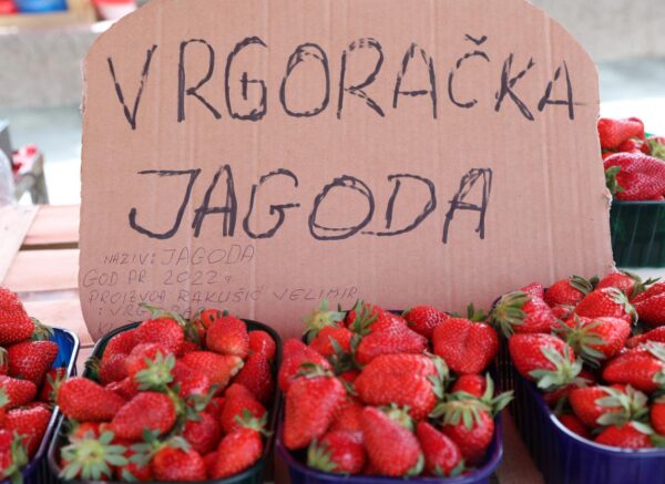 Na šibensku tržnicu stigle su  prve ovogodišnje vrgoračke jagode