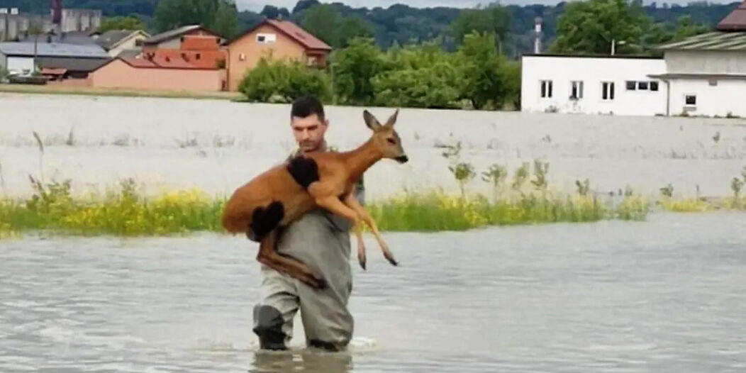 vatrogasac srna radio mrežnica vatrogasac srna radio mrežnica