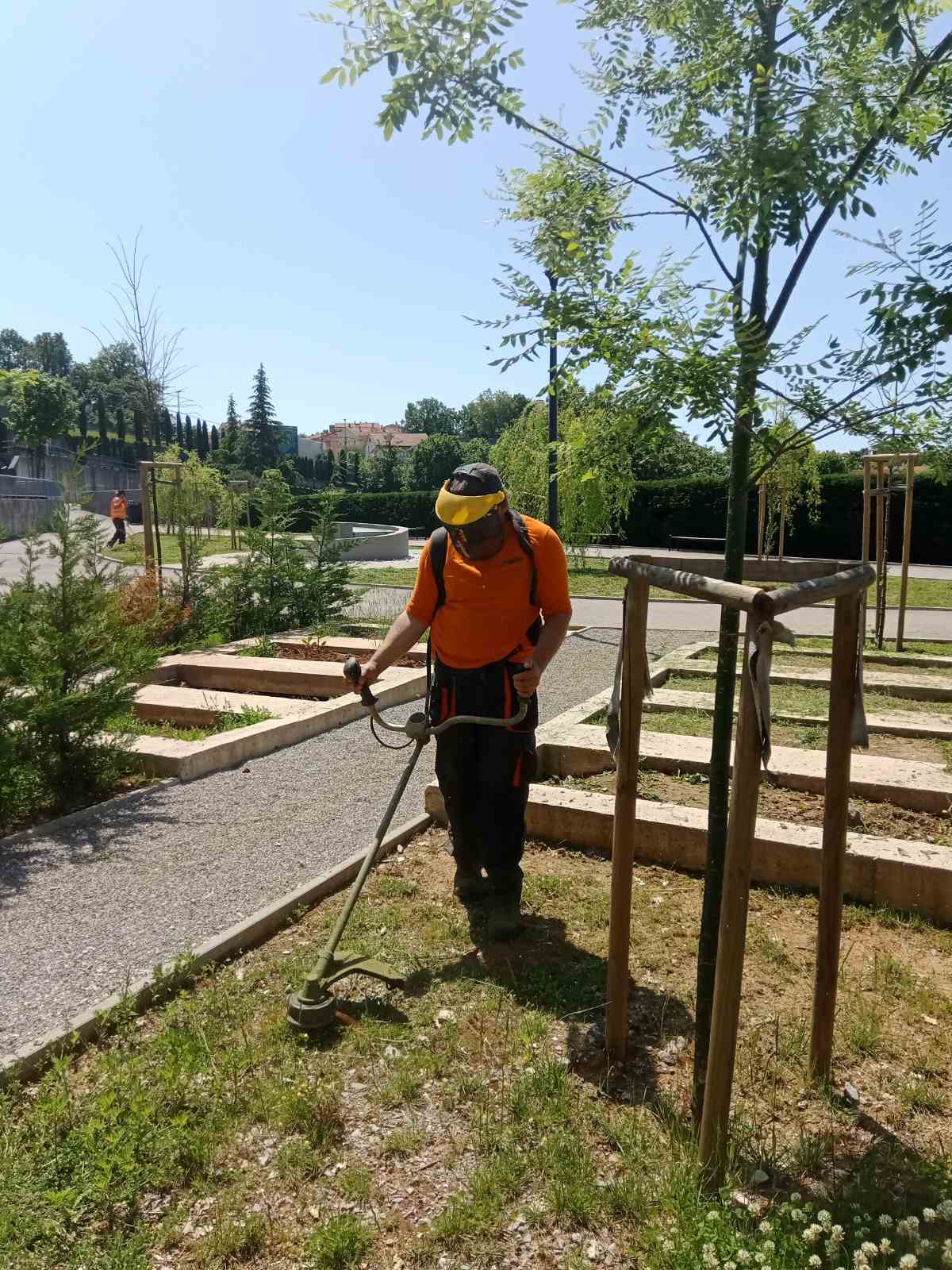 viskovo proljeće (1)