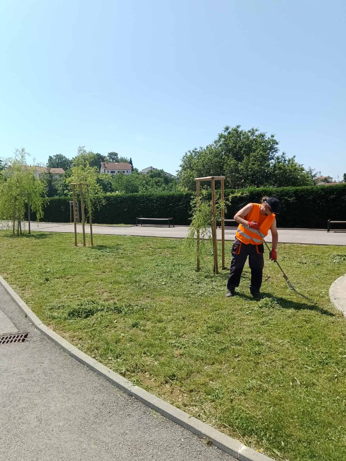 viskovo proljeće (2)