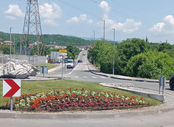 viskovo proljeće (6)