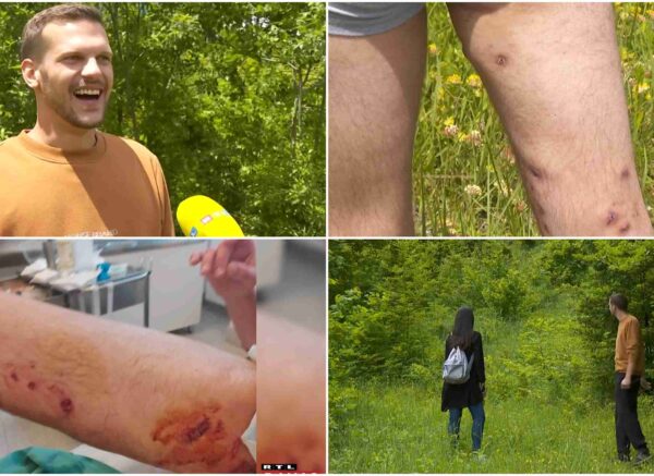 karlo medvjedica naslovna
