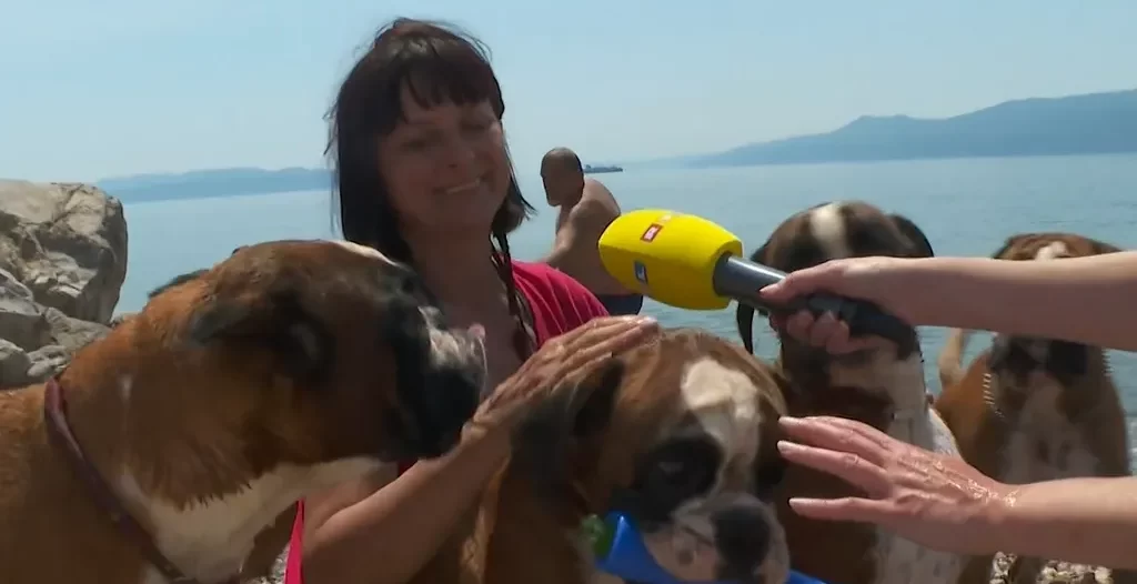 psi plaža ljeto rtl psi plaža ljeto rtl