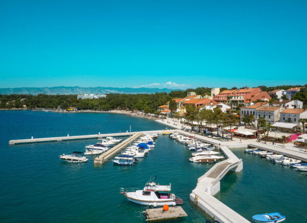 NJivice