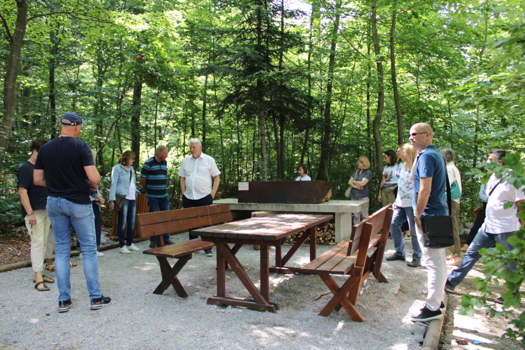 PGZ KOLEGIJ PLATAK (6) PGZ KOLEGIJ PLATAK (6)