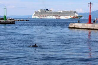 Rijeka: Dupin u rijeckoj luci