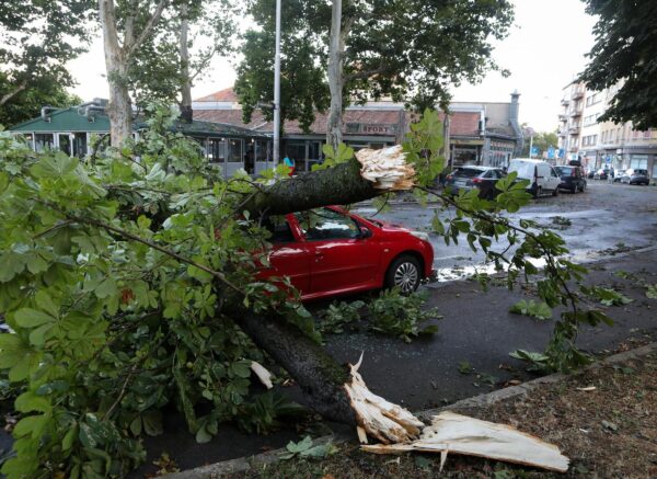 Zagreb: Stablo je palo na auto na Trgu kralja Petra Krešimira