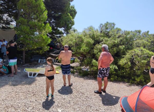 stablo baška voda