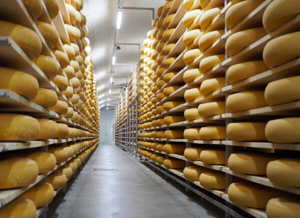 Emmental-Cheese-Storage-01