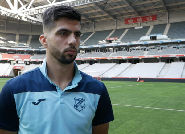 nediljko labrović lille