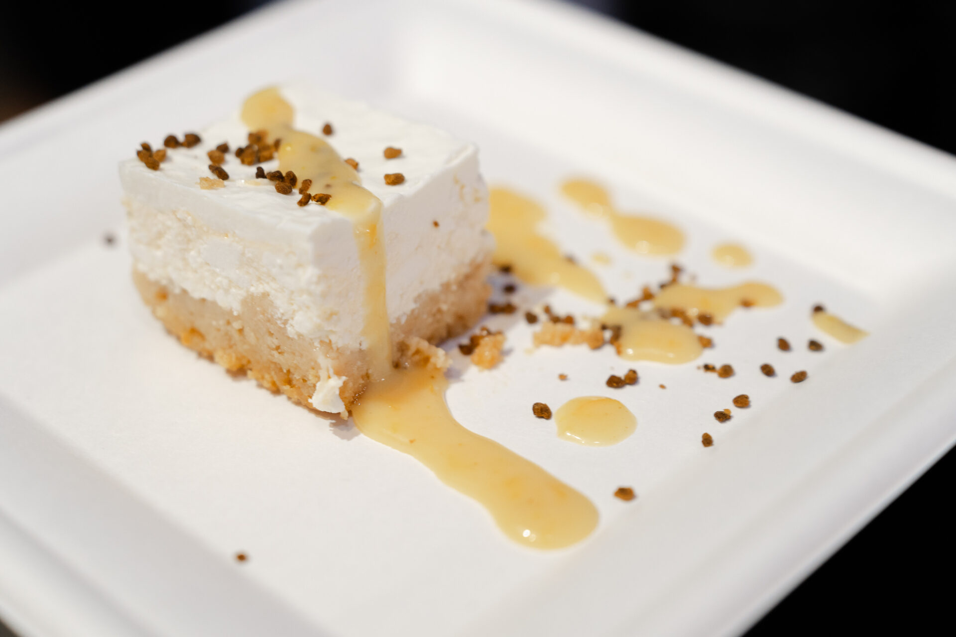 6 Cheesecake s medunom chef Boris Kauzlarić Medun Fest photto by Antonio Ružić_04472 6 Cheesecake s medunom chef Boris Kauzlarić Medun Fest photto by Antonio Ružić_04472