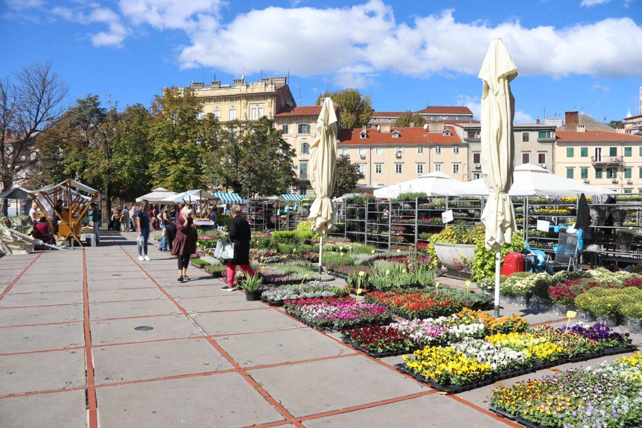 Jesenski-sajam-na-Kontu-32 Jesenski-sajam-na-Kontu-32