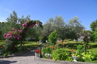 Viškovo okućnice rujan 2023 13 Viškovo okućnice rujan 2023 13