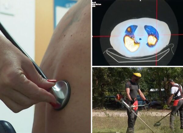 alergije klimatske promjene rtl