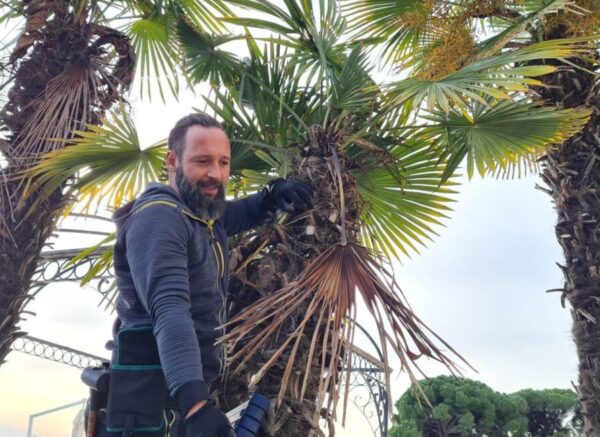 palme opatija