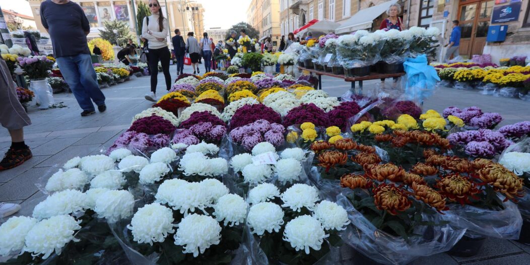 Rijeka: Prodaja krizantema uoči blagdana Svih svetih Rijeka: Prodaja krizantema uoči blagdana Svih svetih