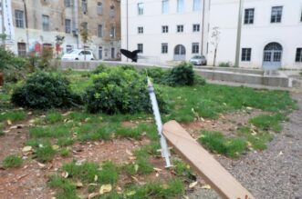 Rijeka: Jaka kisa izazvala poplave po gradu Rijeka: Jaka kisa izazvala poplave po gradu
