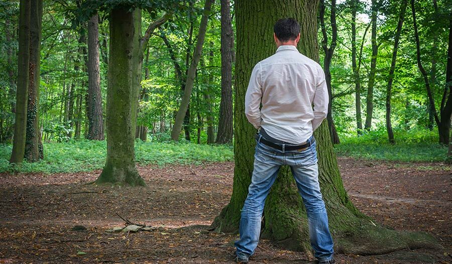 public-urination-ticket public-urination-ticket