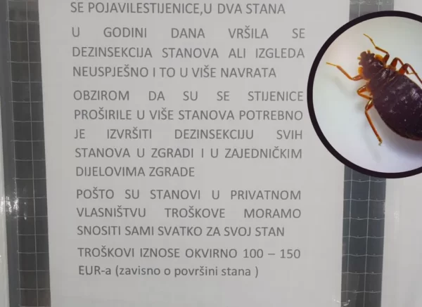 stjenice neboder rtl