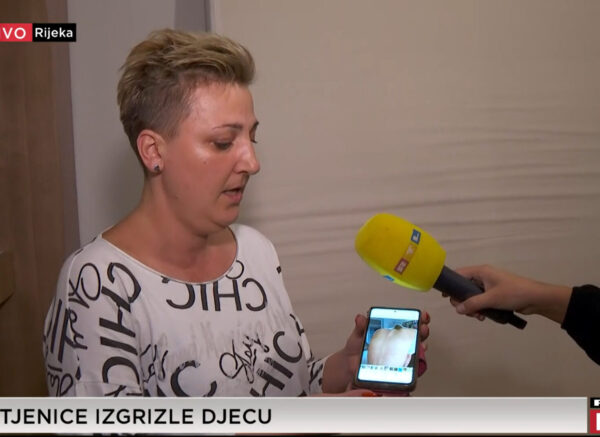 stjenice rijeka rtl stjenice rijeka rtl