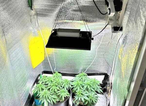 DROGA-LABORATORIJ-8.11