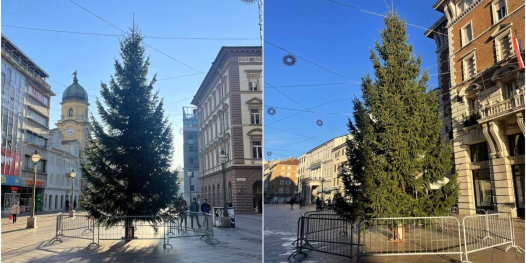 JELKA 2023 NASLOVNA JELKA 2023 NASLOVNA