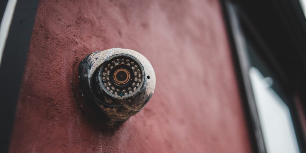 pexels-erik-mclean-4592239 pexels-erik-mclean-4592239