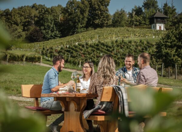 vinarija kutjevo testiranje vina