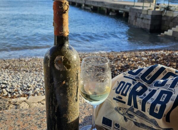 vino i vruja (2)