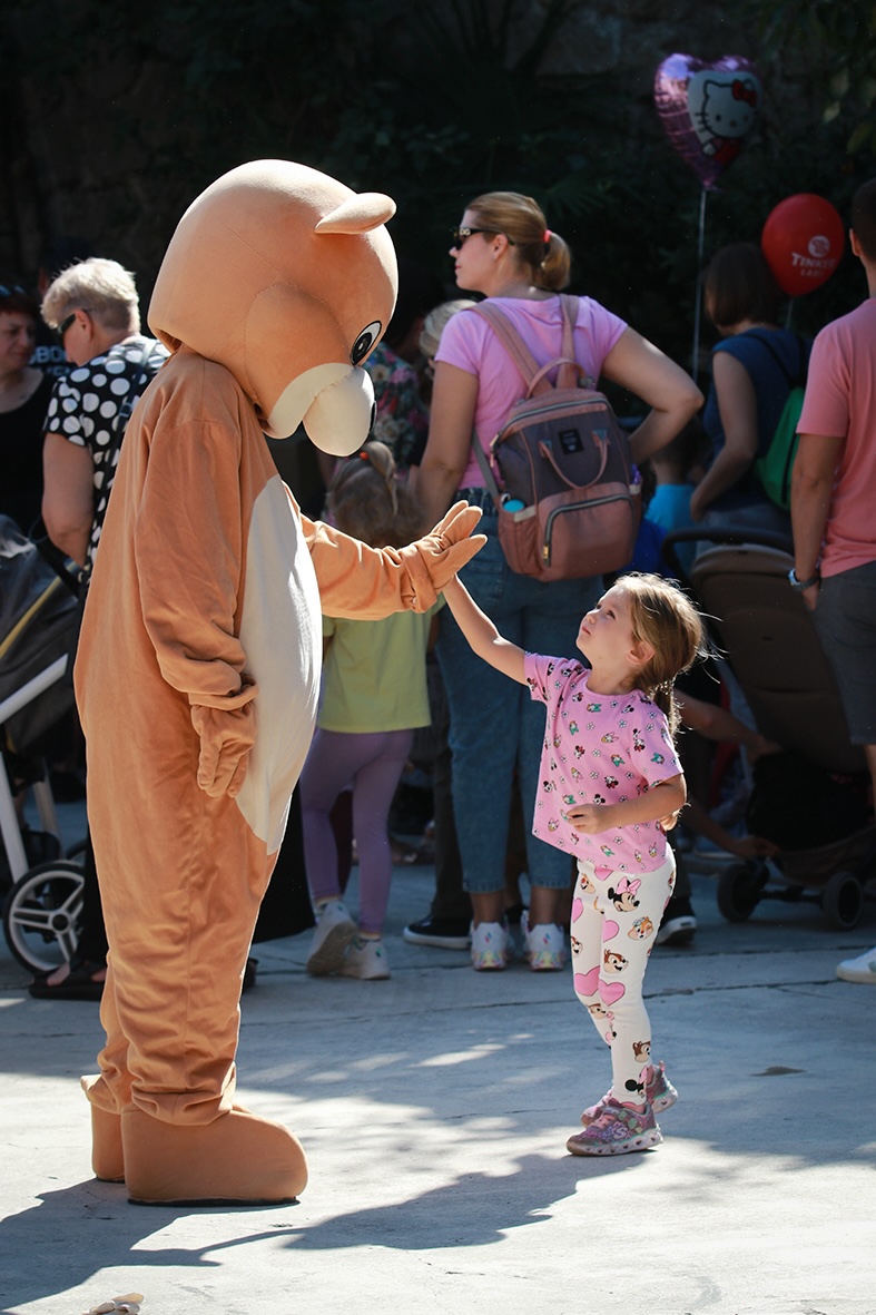 IMG_5653 IMG_5653