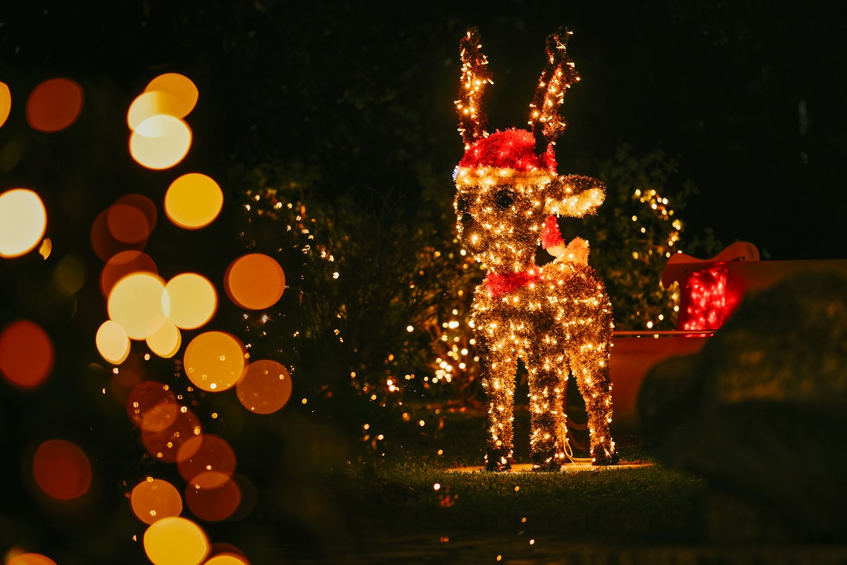 advent icici (2)