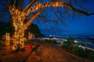 advent icici (4)
