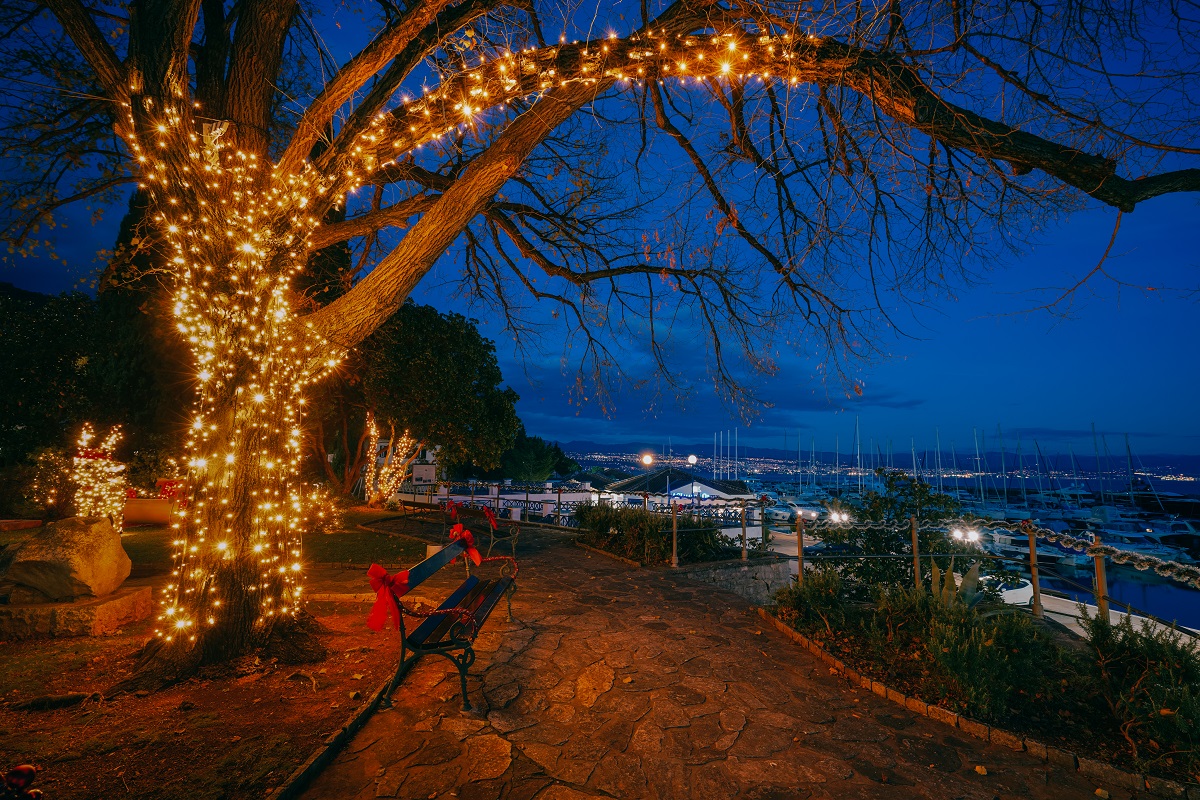 advent icici (4)