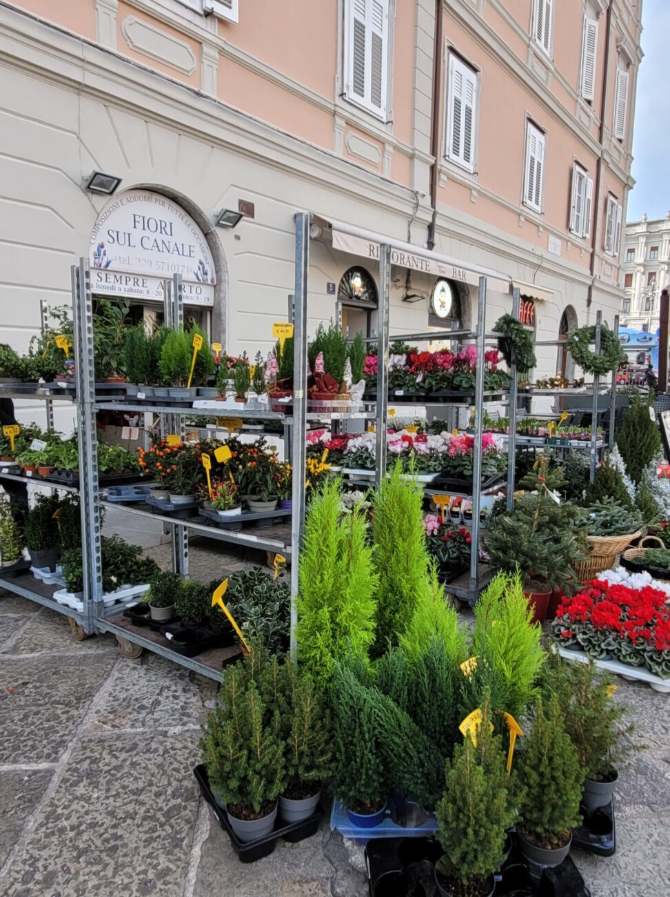 advent trst 2023 14 advent trst 2023 14