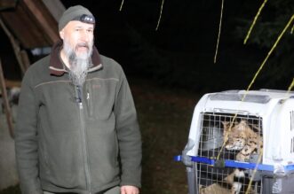 Zelin Mrzlovodički: Serval ulovljen u podrumu kuće Zelin Mrzlovodički: Serval ulovljen u podrumu kuće