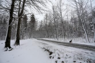 Na Platku pao snijeg