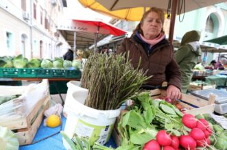 Rijeka: Na tržnicu stigle prve ovogodišnje divlje šparoge Rijeka: Na tržnicu stigle prve ovogodišnje divlje šparoge