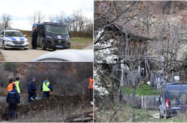 danka potraga 2 NASLOVNA