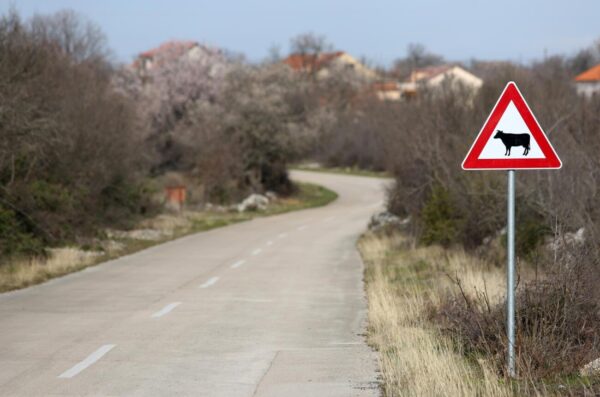 Prometni znakovi za divlja? i doma?e ivotinje na cesti