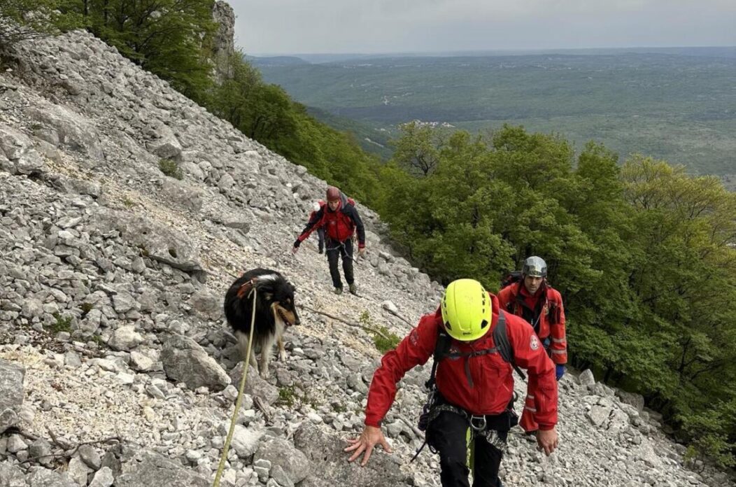 Riječki HGSS u dvodnevnoj akciji spasio psa koji je pao u provaliju u zaleđu Brseča Riječki HGSS u dvodnevnoj akciji spasio psa koji je pao u provaliju u zaleđu Brseča