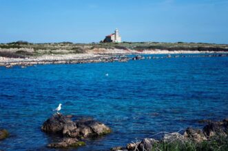 Trstenik-1 Trstenik-1