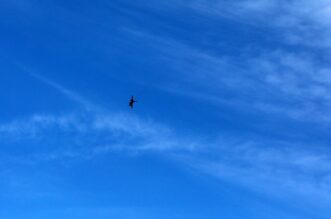 Bakar: Prelet vojnog aviona Rafale Bakar: Prelet vojnog aviona Rafale