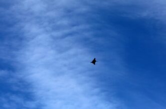 Bakar: Prelet vojnog aviona Rafale Bakar: Prelet vojnog aviona Rafale
