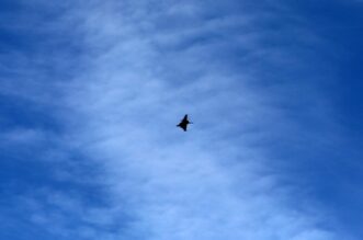 Bakar: Prelet vojnog aviona Rafale Bakar: Prelet vojnog aviona Rafale