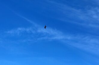 Bakar: Prelet vojnog aviona Rafale Bakar: Prelet vojnog aviona Rafale