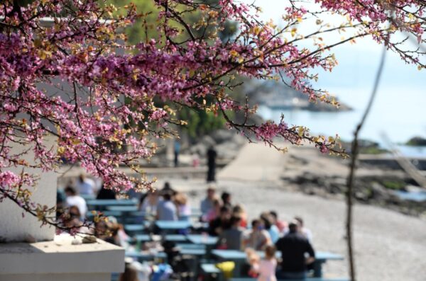 Rijeka: Mnogobrojni Rije?ani na plai Kantrida