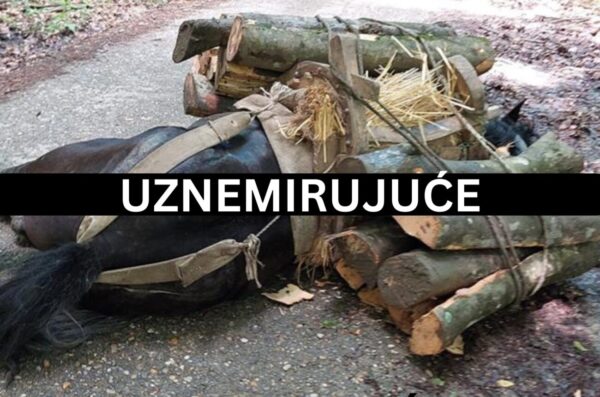 UZNEMIRUJUĆE