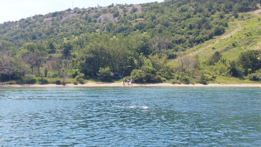 20240607_121855-1024×577 20240607_121855-1024×577
